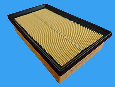 Un buon prezzo. 165462FL0B-C103 Filtro aria motore auto MANN-FILTER C 2433/2 P Ricambio OE in linea