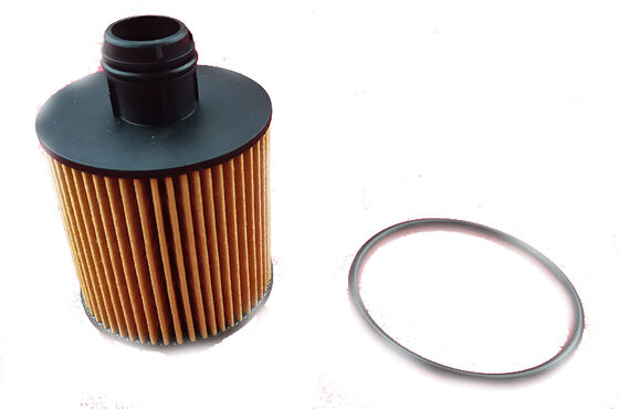 quality Genuine New OEM Oil Filter Alfa Citroën Fiat Opel Peugeot | 6000626025 OX1171D factory